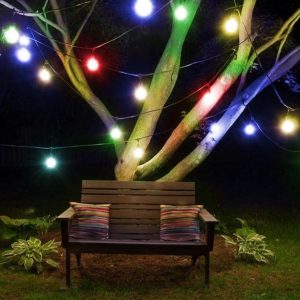 Colored Festoon Light Hire Auckland