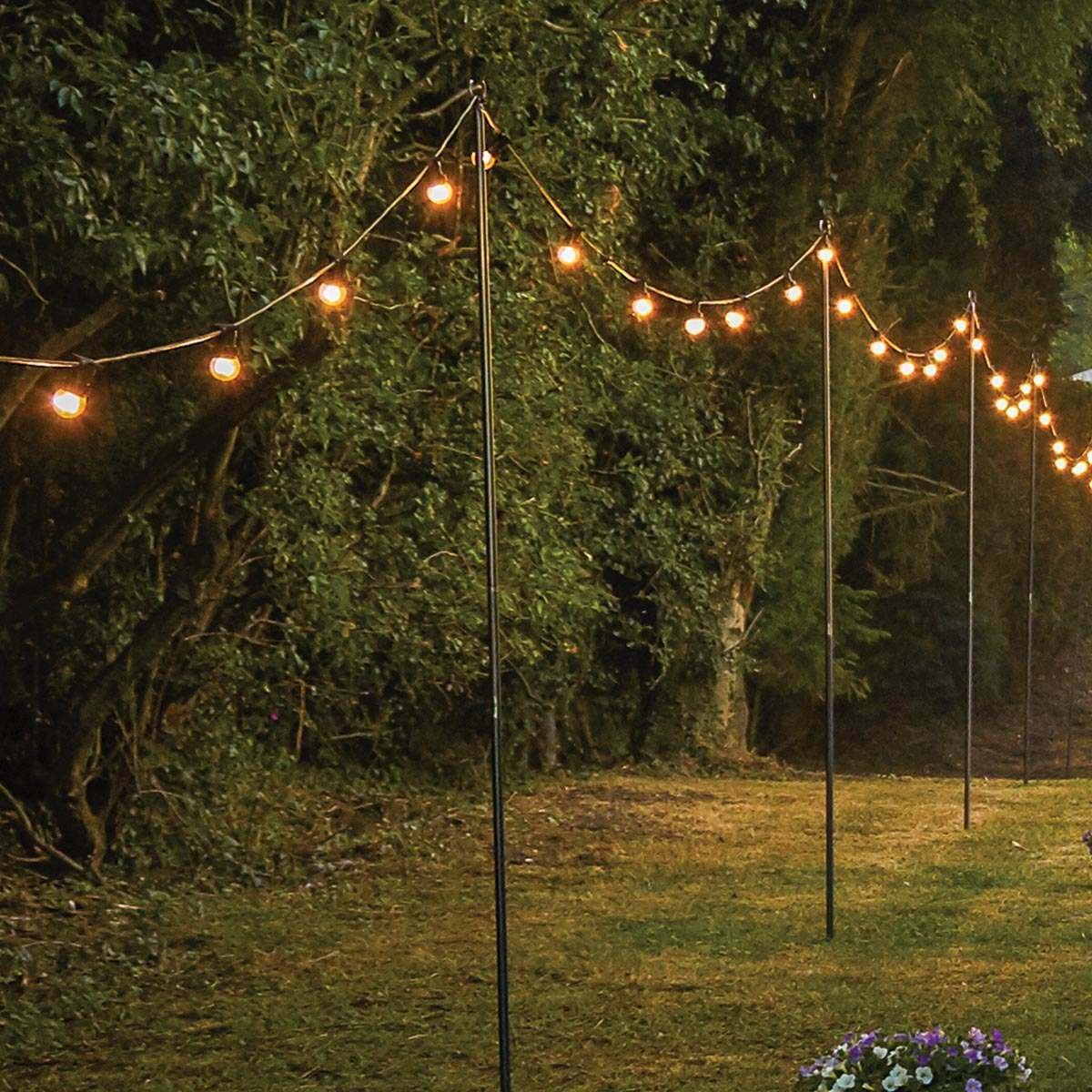 Festoon Lighting Stands Auckland